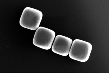 Four cubic colloids made from glass