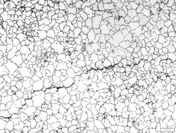 Photomicrograph of zinc pest.