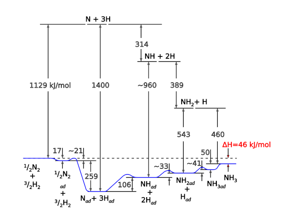 Ammonia synthesis energy diagram