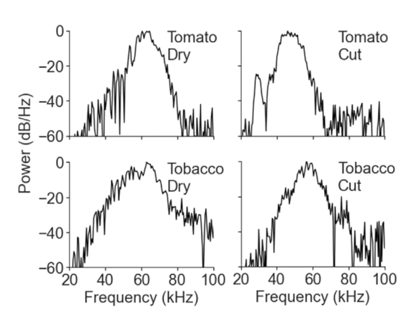 audio spectrum of plant sounds